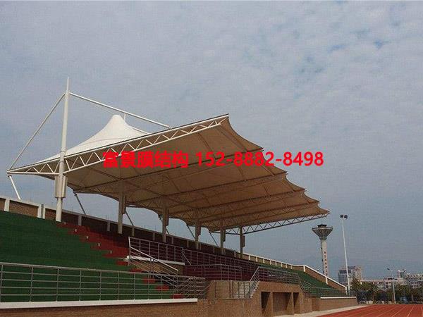 Ĥ�Y�����_